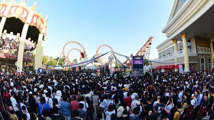 Explore Thai artists, vinyl, crafts and live performances at Cat Expo Explore Thai artists, vinyl, crafts and live performances at Cat Expo