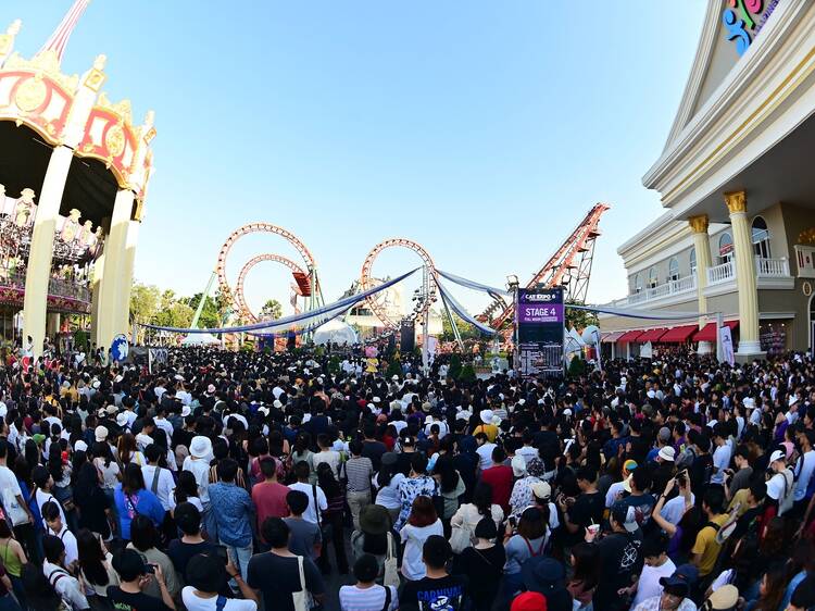 Explore Thai artists, vinyl, crafts and live performances at Cat Expo Explore Thai artists, vinyl, crafts and live performances at Cat Expo