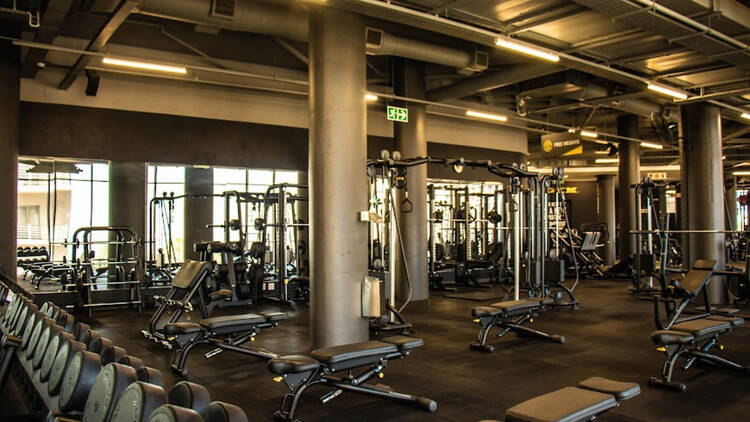 Gold's Gym Gold's Gym