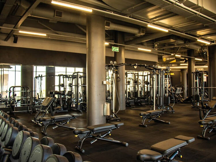 Gold's Gym Gold's Gym