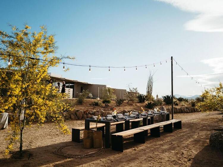 The Bungalows by Homestead Modern