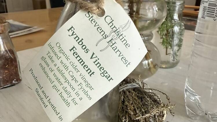 Rooibos and Melktert in the Company Gardens