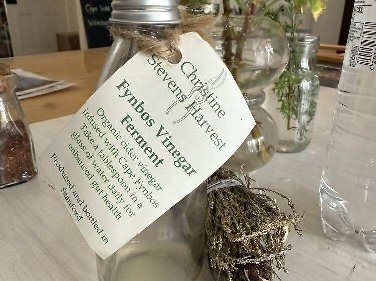 Rooibos and Melktert in the Company Gardens