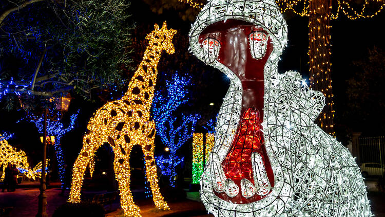 The Very beautiful Christmas lights. Representation of hippo and giraffe