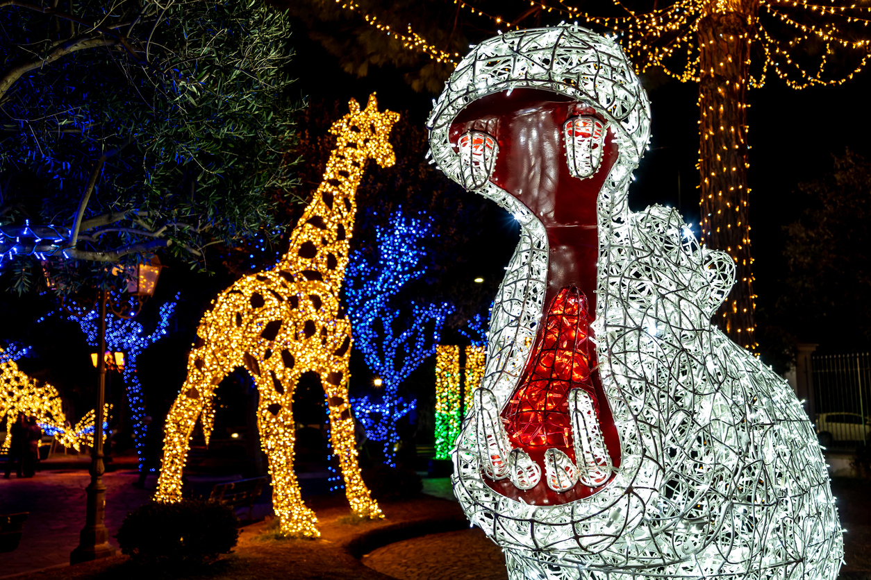 Festival Of Lights Things To Do In Johannesburg festival-of-lights-things-to-do-in-johannesburg