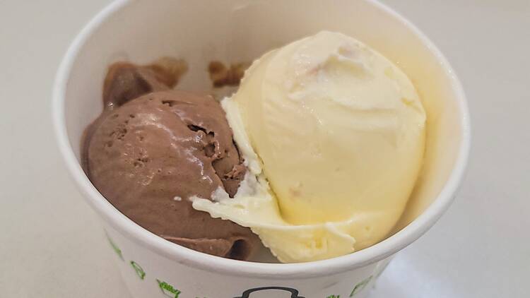 Shake Shack: Custard Cups Shake Shack: Custard Cups