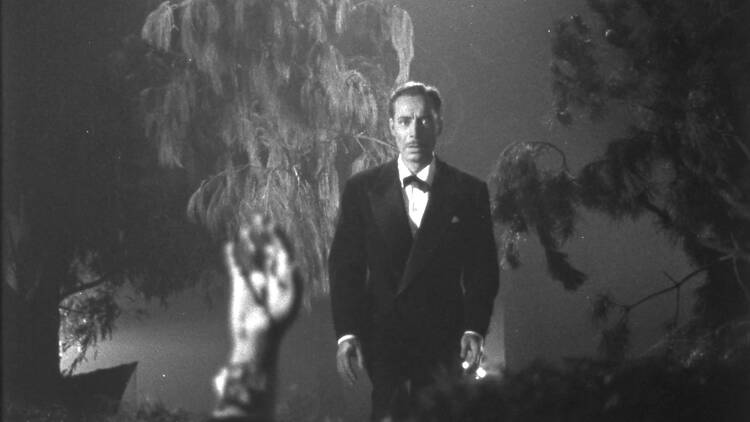 “Dark Visions” Film Series at Cine York “Dark Visions” Film Series at Cine York