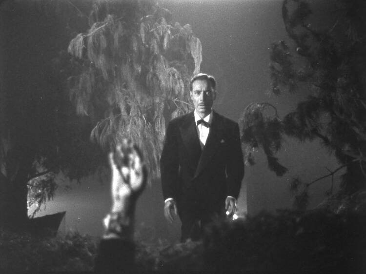 “Dark Visions” Film Series at Cine York “Dark Visions” Film Series at Cine York