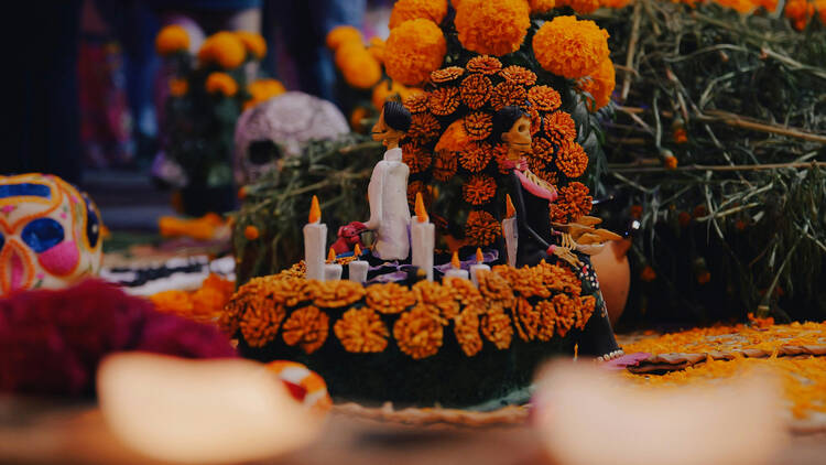 Flor de cempasúchil