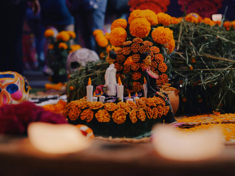 Flor de cempasúchil