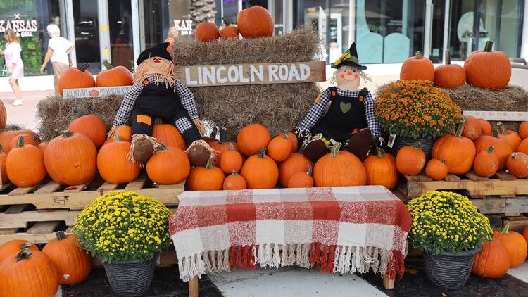 Lincoln Road Halloween Lincoln Road Halloween