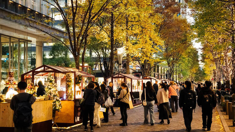 Marunouchi Street Park  Winter