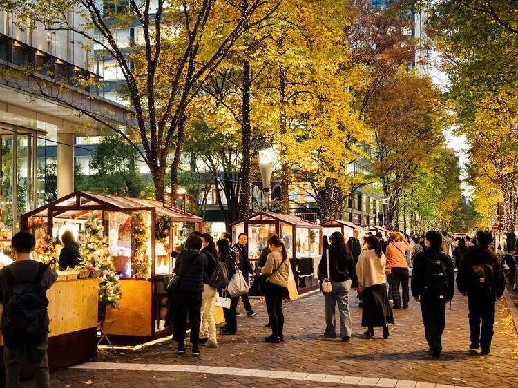 Marunouchi Street Park  Winter