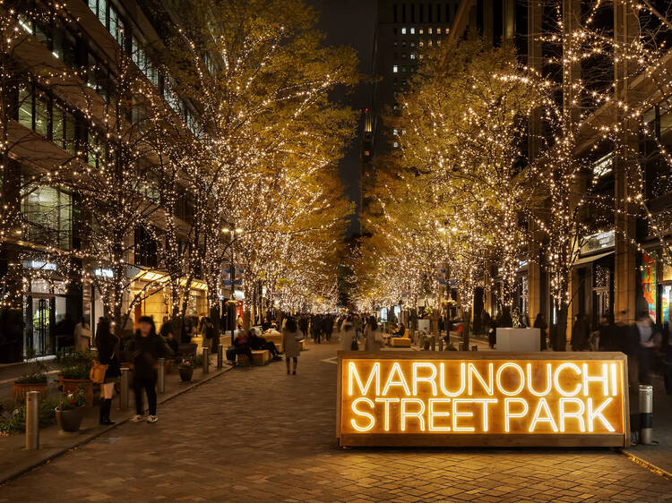Marunouchi Street Park Winter Marunouchi Street Park Winter
