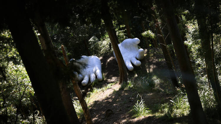 The Big White Hands of Ne-no Gongen Tenryuji, Saitama The Big White Hands of Ne-no Gongen Tenryuji, Saitama