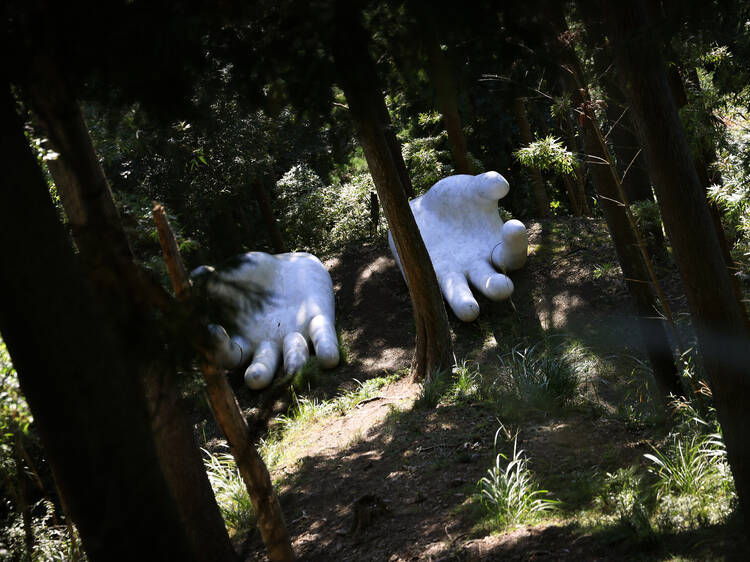The Big White Hands of Ne-no Gongen Tenryuji, Saitama The Big White Hands of Ne-no Gongen Tenryuji, Saitama