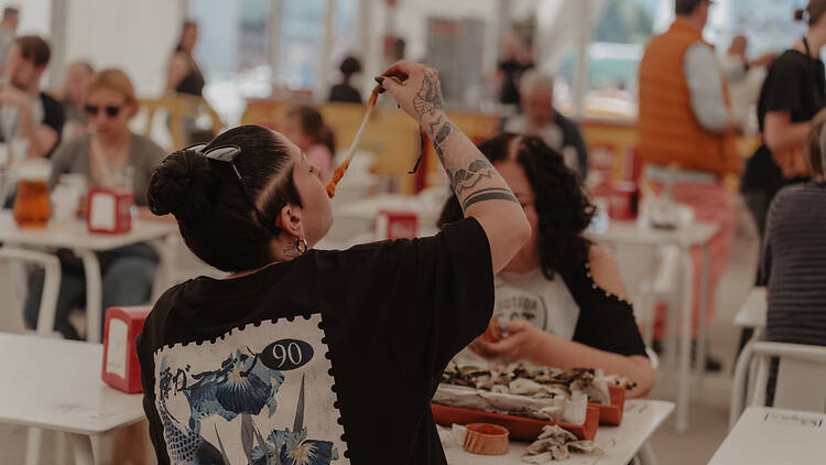 Calsotada Fest Calsotada Fest