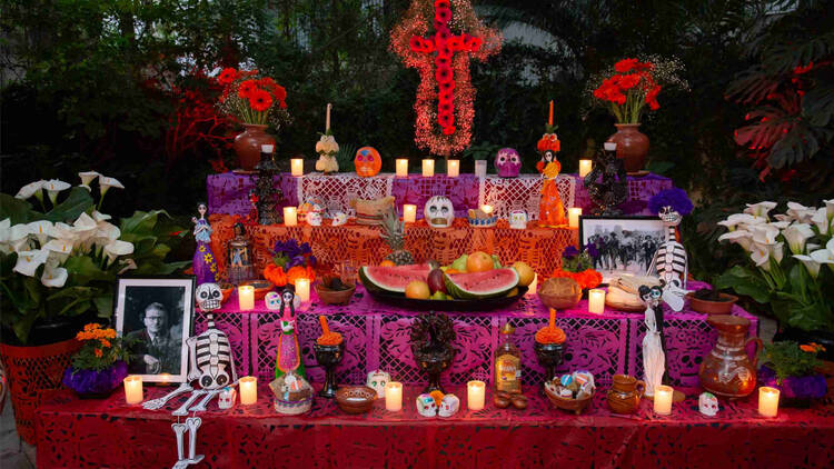 Day of the Dead at the Recoleta Cultural Center