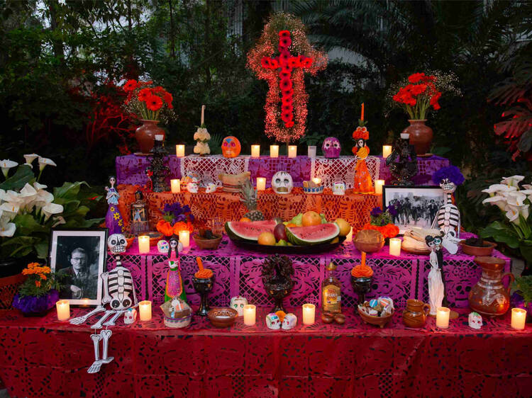 Day of the Dead at the Recoleta Cultural Center