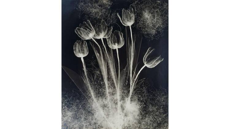 野島康三と斎藤与里―美を掴む手、美を興す眼