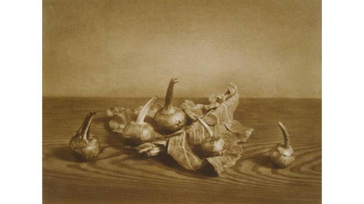 野島康三と斎藤与里―美を掴む手、美を興す眼