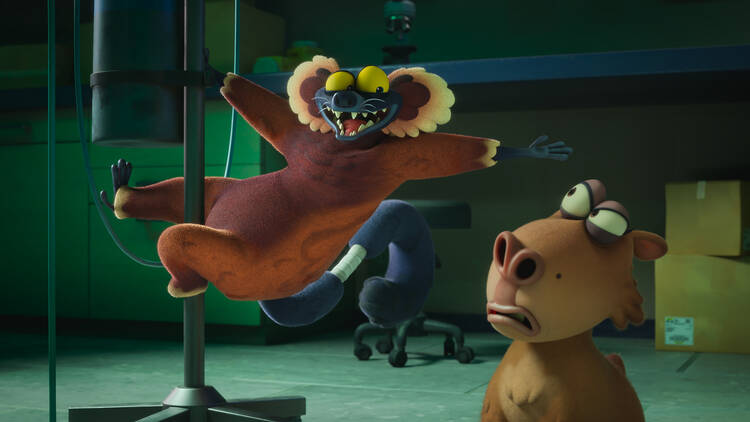 Zoopocalypse Zoopocalypse