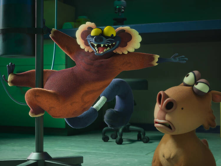 Zoopocalypse Zoopocalypse