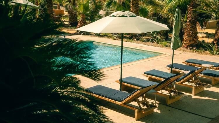 Two Bunch Palms Two Bunch Palms