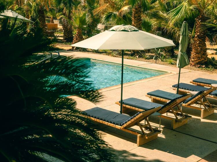 Two Bunch Palms Two Bunch Palms