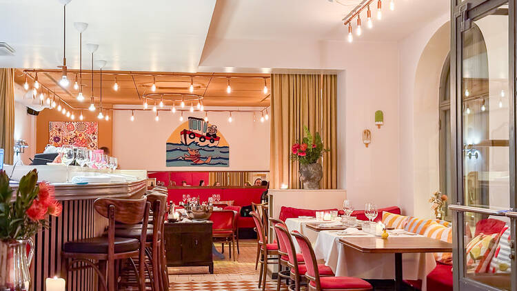 Laivakoira Laivakoira