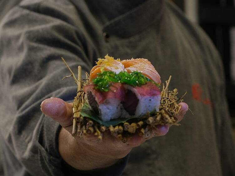 Hachiko Barra Hachiko Barra