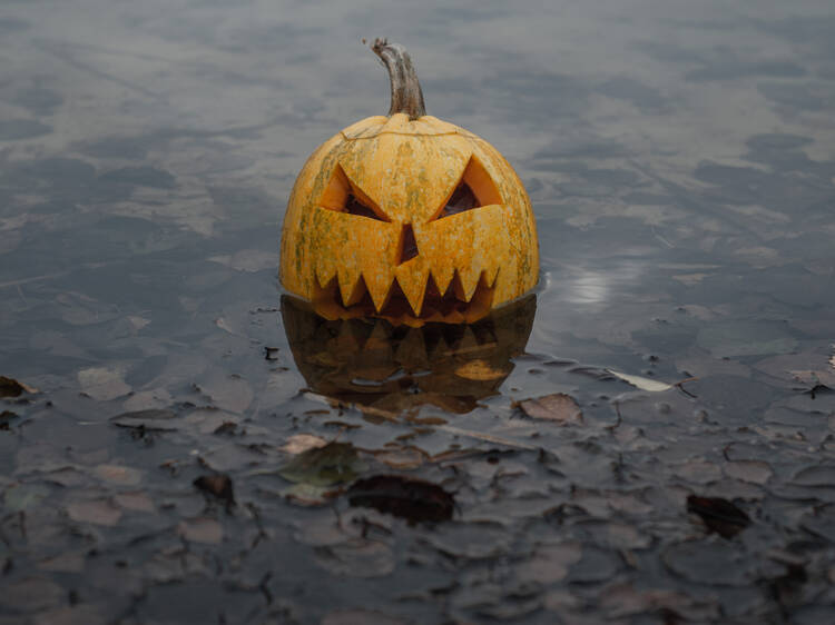 Montreal’s weather forecast for Halloween is showing 100% chance of rain Montreal’s weather forecast for Halloween is showing 100% chance of rain