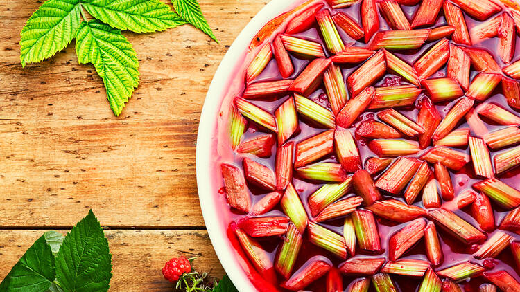 Rhubarb Pie | Grand Rapids, MI