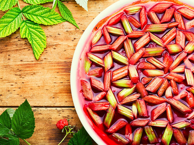 Rhubarb Pie | Grand Rapids, MI