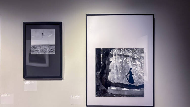 Surreal de Rodney Smith Museo Franz Mayer Surreal de Rodney Smith Museo Franz Mayer