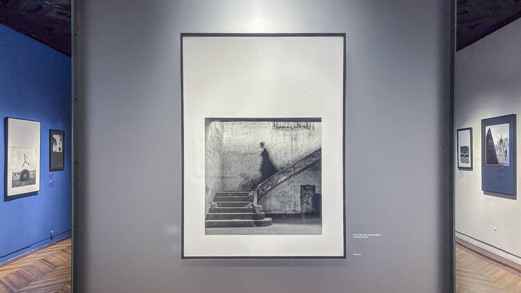 Surreal de Rodney Smith Museo Franz Mayer Surreal de Rodney Smith Museo Franz Mayer