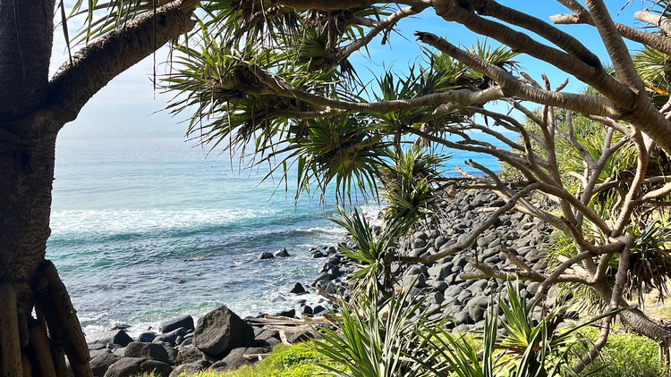 Burleigh Head National Park Walk, QLD Burleigh Head National Park Walk, QLD