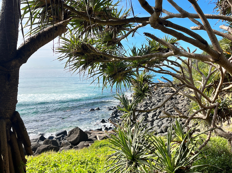 Burleigh Head National Park Walk, QLD Burleigh Head National Park Walk, QLD