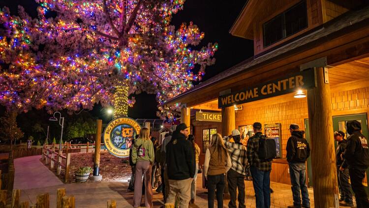 Big Bear Alpine Zoo Wild Lights Big Bear Alpine Zoo Wild Lights