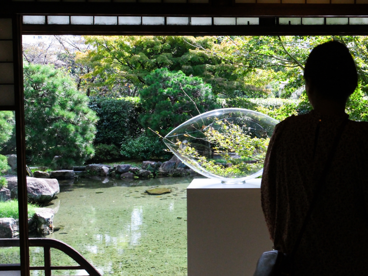 倧éªã11æã«è¡ãã¹ãã¢ãŒãå±5éž å€§éªã11æã«è¡ãã¹ãã¢ãŒãå±5éž