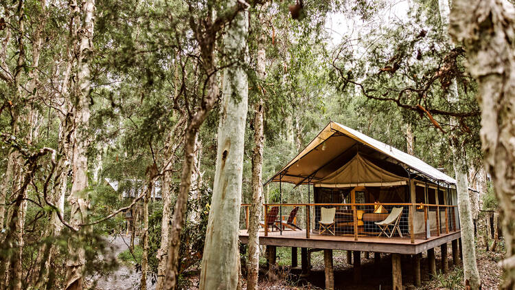 Paperbark Camp, NSW Paperbark Camp, NSW