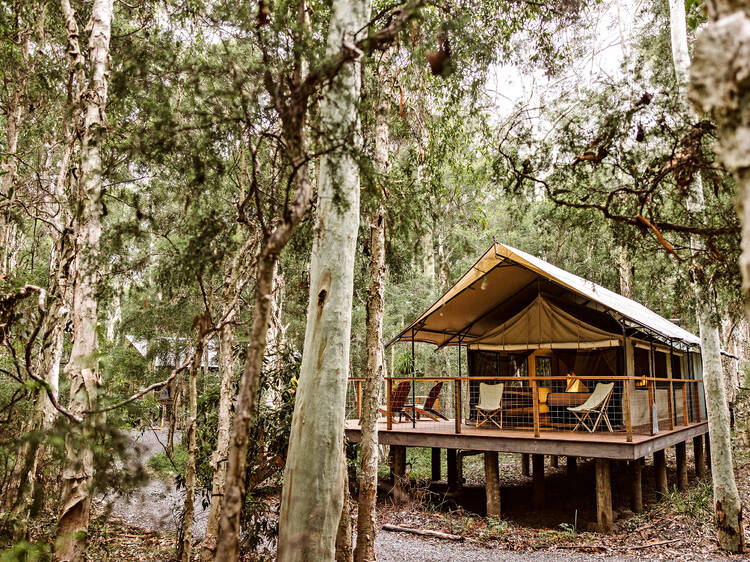 Paperbark Camp, NSW Paperbark Camp, NSW