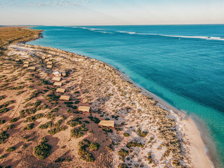 Sal Salis Ningaloo Reef Aerial of beach with glamping tents