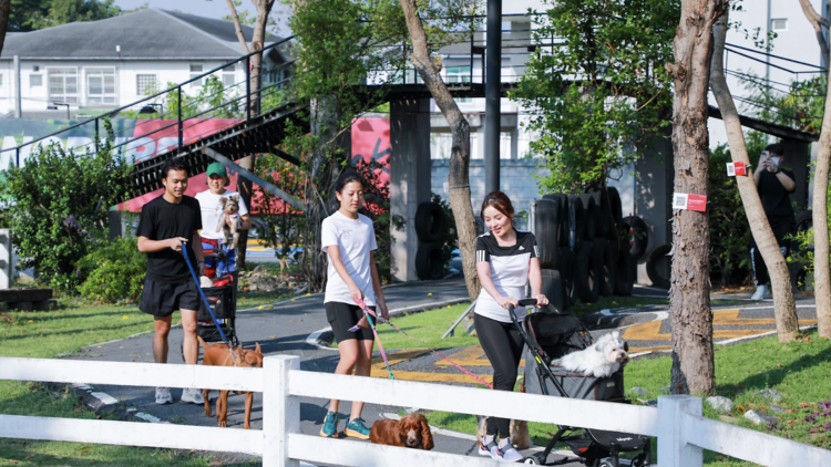 Dog park in Lumphini Park Dog park in Lumphini Park