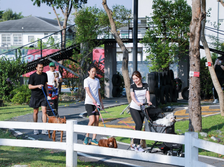 สวนลุมพินีเตรียมเปิดโซน Dog Park 31 ธันวาคมนี้ สวนลุมพินีเตรียมเปิดโซน Dog Park 31 ธันวาคมนี้