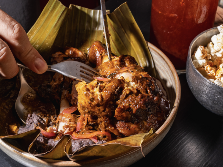 Paloma Fondita Mexicana Paloma Fondita Mexicana