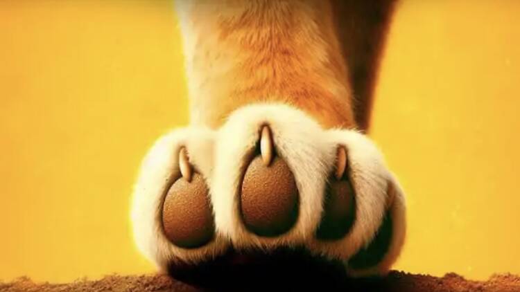 Simba – O Musical Simba – O Musical