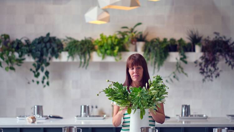 Apotheke Apotheke (Apotheke)