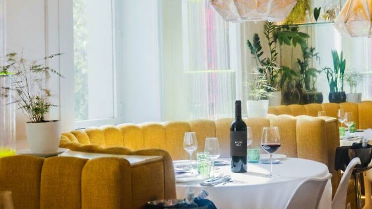 Sofisticación en plato y copa