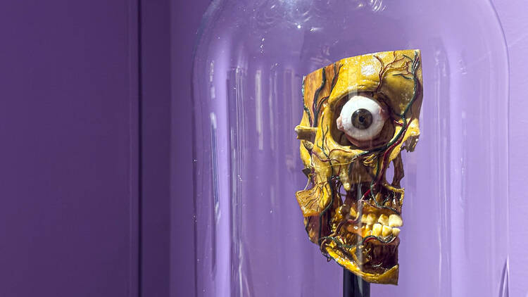 El beso de la muerte. Representaciones mortuorias en el arte y la cultura visual del siglo XIX Museo de San Carlos El beso de la muerte. Representaciones mortuorias en el arte y la cultura visual del siglo XIX Museo de San Carlos